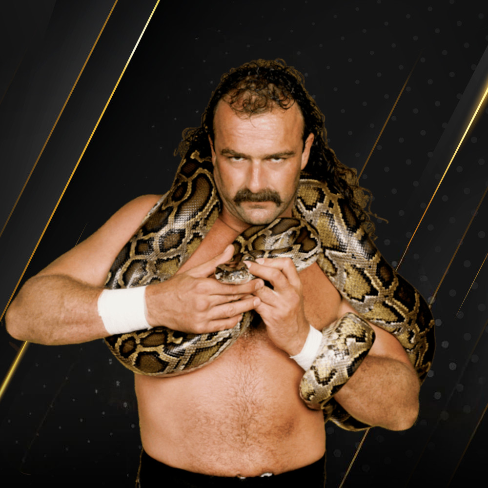 Jake Roberts